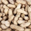 Premium Peanuts In Shell Monkey Nuts 3L Tub 3