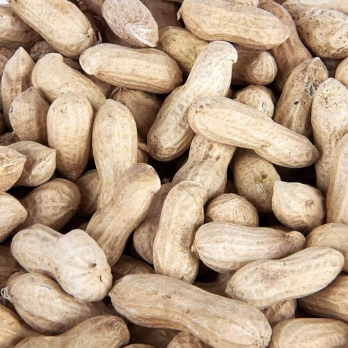 Premium Peanuts In Shell Monkey Nuts 3L Tub 2