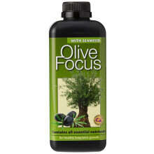 Olive Focus Liquid Concentrated Fertiliser 1 Litre