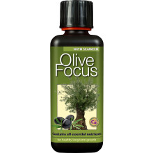 Growth Technology Ltd Olive Focus fertiliser, Brown, 300ml