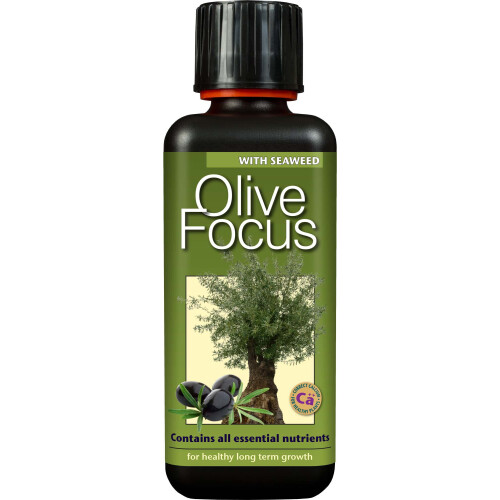 Growth Technology Ltd Olive Focus fertiliser, Brown, 300ml