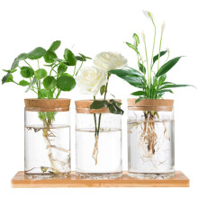 Hniuyun Propagation Stations, Desktop Plant Terrarium with Wooden Tray & Lid for Propagating Hydroponic Plants Centerpiece Office Home Decor, 3 Pcs