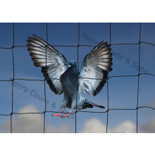 Bird Netting For the Garden 5m x 15m 50mm 2" Anti Pigeon Knotted Mesh Heavy Duty Black Net Protection