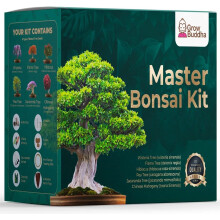 Master Bonsai Kit - Grow Buddha Bonsai Tree Growing Kit - Professional Growing and Styling Bonsai Set - Japanese Bonsai - Become Bonsai Master - Idea