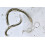 Dragonfli Sciarid/Fungus Fly Killer Nematodes 10 Square Metre Pack 4