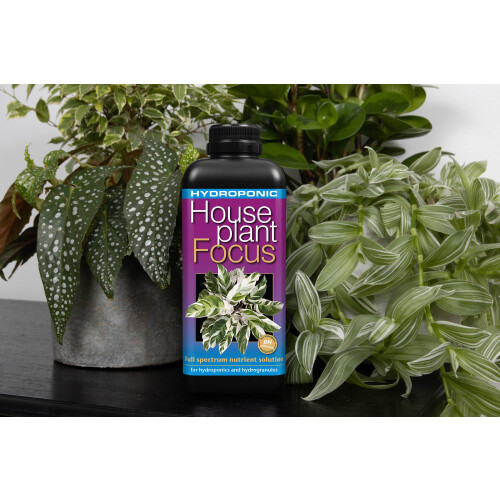 Hydroponic Houseplant Focus 1 litre 2