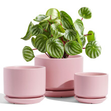 LE TAUCI Plant Pots, 11+13+17 cm Ceramic Planters, Set of 3 Flower Pots with Drainage Hole and Saucer, Indoor Plant Pot with Hole Mesh Pad, Gifts for