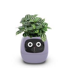 Itigoitie Smart Flowerpots,Smart Pet Planter,Ai Planter,Intelligent Flowerpots,Multiple Expressions,7 Smart Sensors, and Ai Chips Make Raising Plants