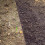 Levington Levington Composted Bark, 50 Litres, Soil Enricher 3