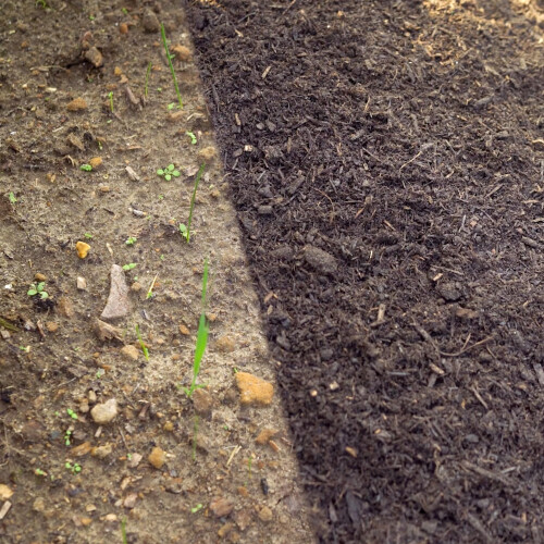 Levington Levington Composted Bark, 50 Litres, Soil Enricher 2