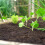 Levington Levington Composted Bark, 50 Litres, Soil Enricher 4