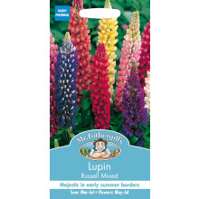 Mr Fothergill's Lupin Russell Mixed