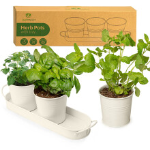 Herb Planter Indoor | Grow Fresh Herbs at Home | Herb Pots for Kitchen & Windowsill | Kitchen Herb Garden | Indoor Herb Planter | Includes Drain Hole