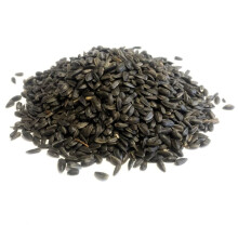 Black Sunflower Seed 10kg Premium Wild Bird Food