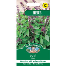Mr Fothergill's 11483 Herb Seeds, Basil Thai, Green