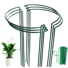 MUAEEOK 6 Pack 21x35cm Plant Support Stakes, Metal Garden Plant Stake, Outdoor Tall Plant Support Ring Cage,Large Plant Supports for Tomato,Vegetable