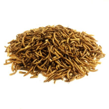 3 x 5kg Wild Bird Dried Mealworms Premium Bird Food