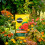 Miracle-Gro Miracle-Gro Peat Free Premium All Purpose Compost 10 litres 3