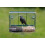 Meripac PIGEON-PROOF Window Feeder with Large Capacity Seed Tray 4