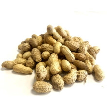 3 Litre Refill Bag Peanuts in Shells Premium Safe Wild Bird Food Monkey Nuts Afflotoxin Free (Weight 0.9kg/approx. 3L) MCW