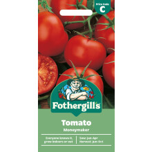 Fothergill's Tomato Moneymaker, Vegetable Seeds, 30 Seeds, Sow: Jan-Apr, Red