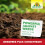 Neudorff WeedFree Plus Concentrate - Effective Weedkiller for fast, long-lasting weed control. Affects root system. Glyphosate Free, 1020 ml 7