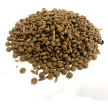5 Litre Refill Bag Hedgehog Food With Calciworms Premium Complete Food 5l (approx weight 2kg)