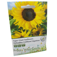 Super Giant Sunflower Seeds in Pictorial Packet Helianthus Uniflorus Giganteus