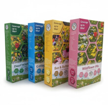 Wild Flower Seeds 4 Boxes Wildflower & Cottage Mix Scatter Boxes | 4x50m2 Box, 200m2 Coverage | Wildflower Seed Mix Attracts Bees and Butterflies UK