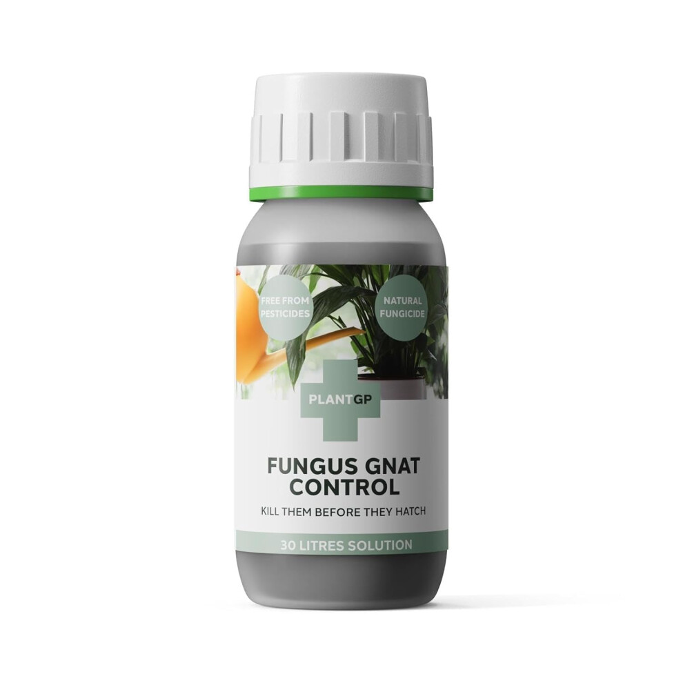 Plant Gp Fungus Gnat Control And Plant Food. Effective Against Fungus Gnats, Larvae And Pests That Destroy Your House Plants. Helps Create Healthy House Plant