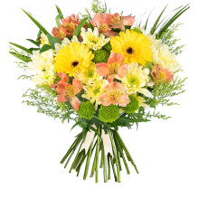 Seasons Joy - Fresh Flowers - Birthday, Anniversary, Get Well, Thank You, Occasion Flower - Cut Floral Arrangement for Gifts, Weddings, Sympathy, Cel