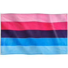 Runesol Omnisexual Pride Flag, 91x152cm, 3ft x 5ft, 4 Grommets, Eyelet In Every Corner, Gay Pride Flag, LGBT+ flag, Pride Flag, Premium Flags, Inside