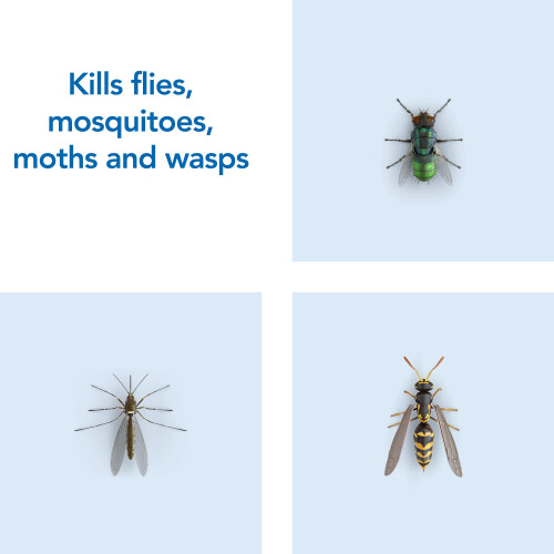 Raid Fly and Wasp Killer 300 ml (Pack of 6) 2