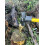 Rolson Rolson 10780 Diamond Shape Log Splitter 5