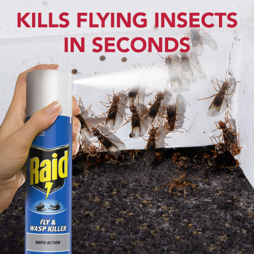 Raid Fly and Wasp Killer 300 ml (Pack of 6) 1