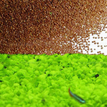 Grass Seeds Fast Growing,10g About 7500Pcs Organic Aquatic Plants Grass Seeds for Fish Tank Aquarium(Small Double Leaves)