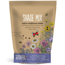 SEEDBALL Shade Mix Seed Bombs (Grab Bag) – 100 Seed Balls Per Pack | British Wildflower Seeds for Shady Areas - Clay Seed Bomb Designed for Planting