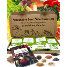 Vegetable Seed Selection Box - 20 Premium Seed Varieties with High Germination Rate. Natural, Sustainable & GMO Free. Instruction Booklet Included, P