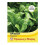 Thompson & Morgan - Vegetable - Spinach Perpetual - 250 Seeds 1