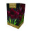 TAYLORS Amaryllis Black Pearl Gift Pack 1