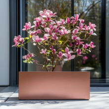 Tulipy 1.2m/1m/75cm/70cm Zinc Galvanised Trough Planter | No Assembly Needed | Lightweight (Rose Gold, L120cm x W40cm x H40cm)