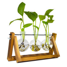 Propagation Station for Plants, Terrarium for Hydroponic Plants, Plant Terrarium with Wooden Stand Personalized Gifts for Mum, Women, Valentines Day,