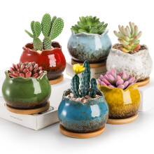 TOPZEA Set of 6 Succulent Planters, 10.2 cm (4 inches) Glazed Ceramic Pot for Plants, Succulent Planter with Drainage and Saucer, Mini Bonsai Planter