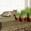 Suttons - Cat Grass Seeds. Contains 700 Seeds. 1