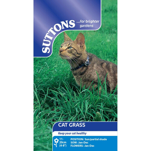 Suttons - Cat Grass Seeds. Contains 700 Seeds. 2