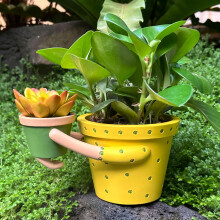 Indoor Plant Pot, Unique Cute Embrace Baby Double Flower Pot, 5.1" Cactus Planters with Drainage, Interior Outdoor Plants Succulent Pots, Plant Lover