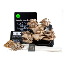 Urban Farm-It Mushroom Growing Kit (XL Blue-Grey Oyster) | Gardening Gift for Women, Men & Kids | Code to Claim Free Spawn & Begin Growing When Ready
