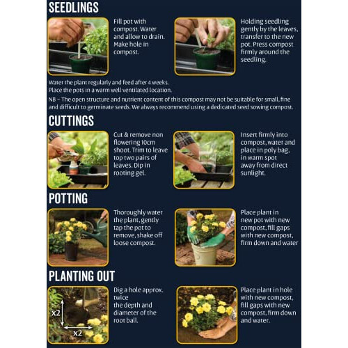 Westland Westland Multi Purpose Peat Free Compost with John Innes 10L 2