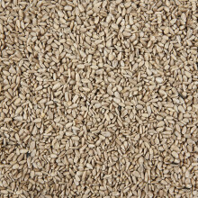 Garden Ting Sunflower Hearts 5L Refill