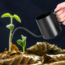 XTDMJ 350 ml Black Watering Can With Long Stainless Steel Spout for Small Indoor Plants, Succulents, and Garden Use